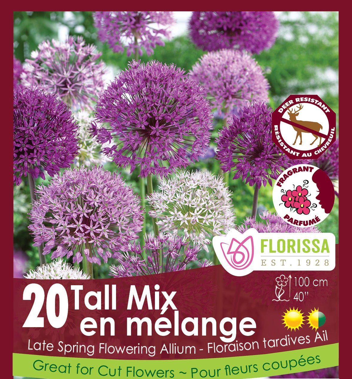 Allium - Tall Mix