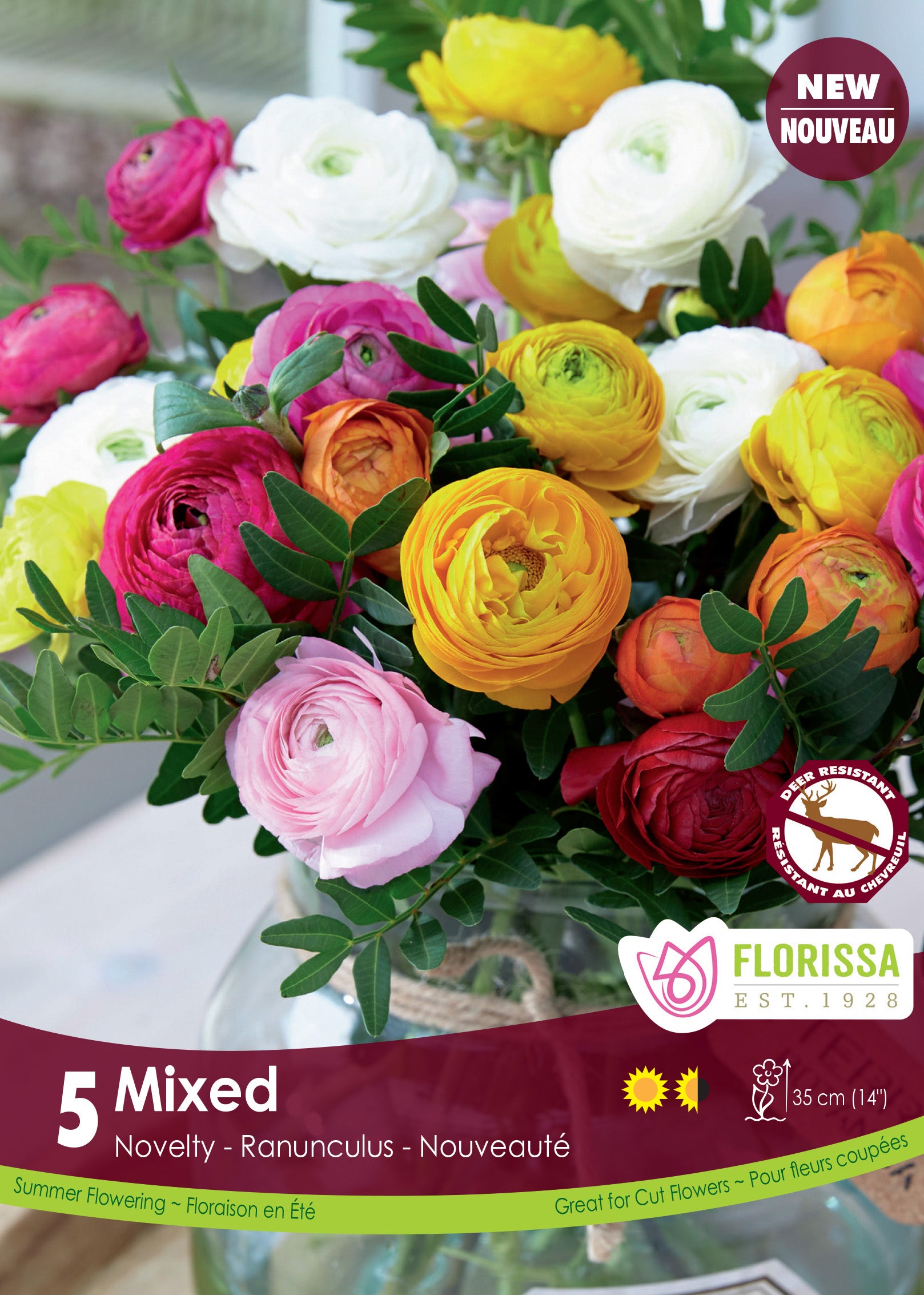 Ranunculus - Mixed