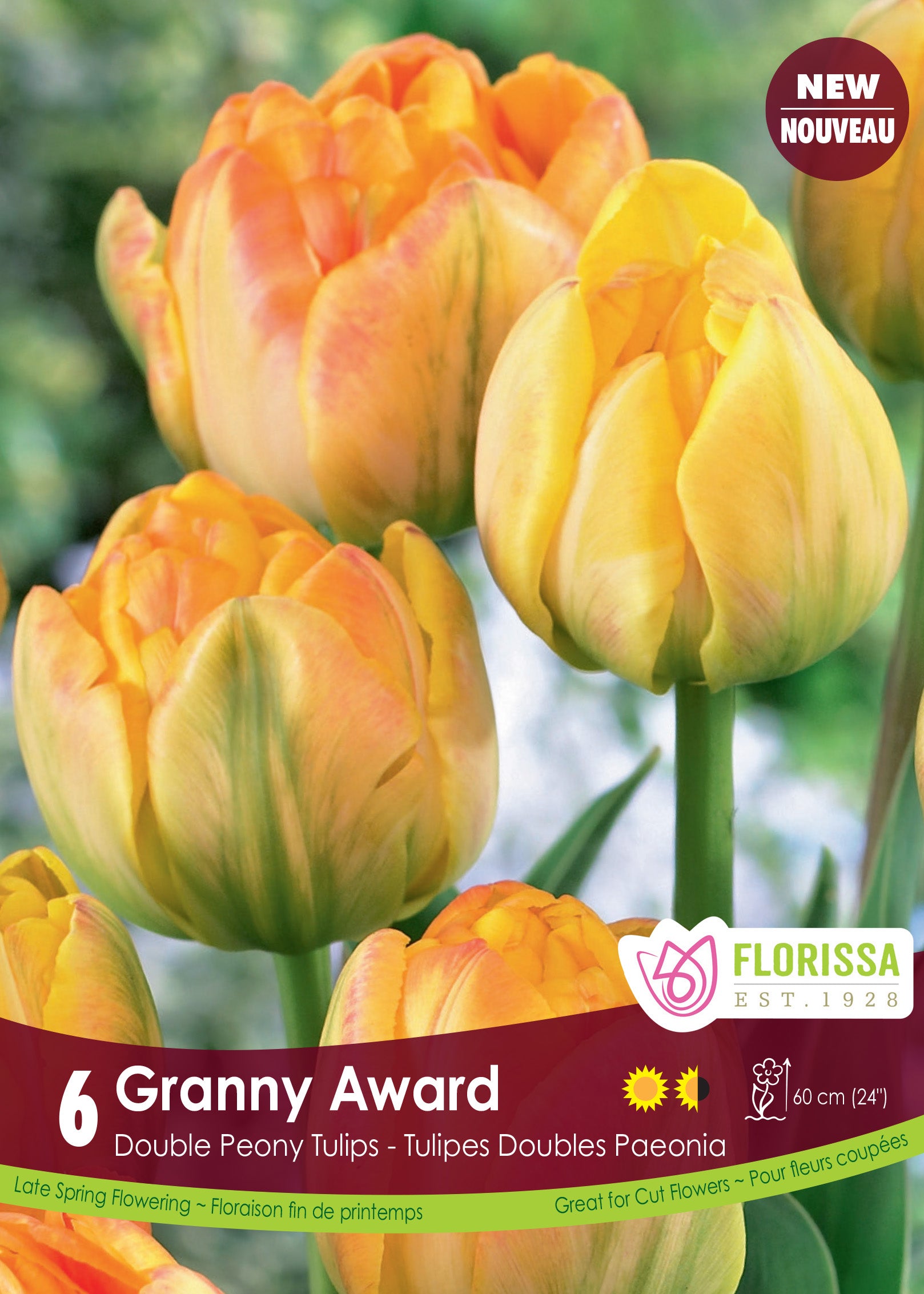 Tulip Double Peony - Granny Award