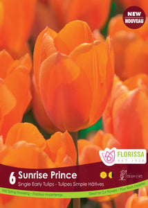 Tulip Single Early - Sunrise Prince